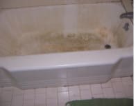 image description not provided by submitter