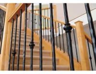 image description not provided by submitter