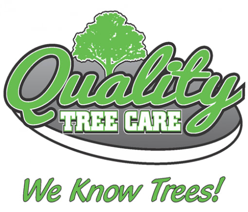 Quality Tree Care | Better Business Bureau® Profile