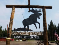 image description not provided by submitter