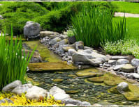 image description not provided by submitter