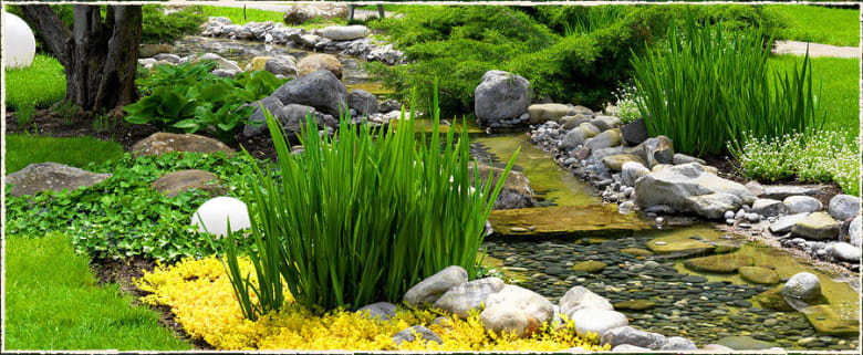 image description not provided by submitter