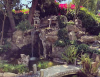 image description not provided by submitter