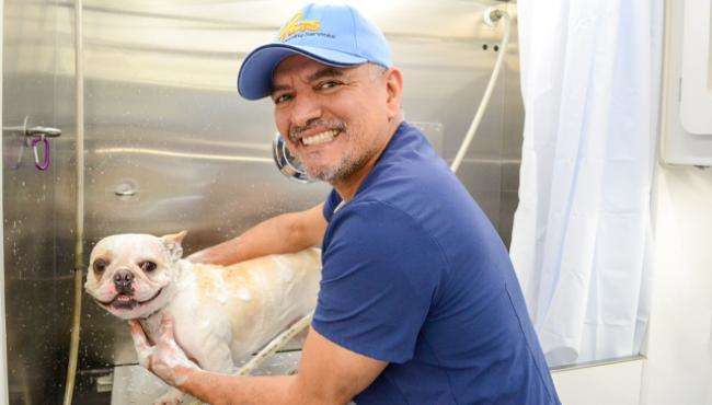 image description not provided by submitter