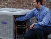 image description not provided by submitter