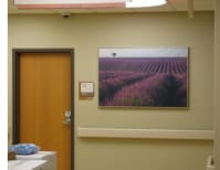 image description not provided by submitter