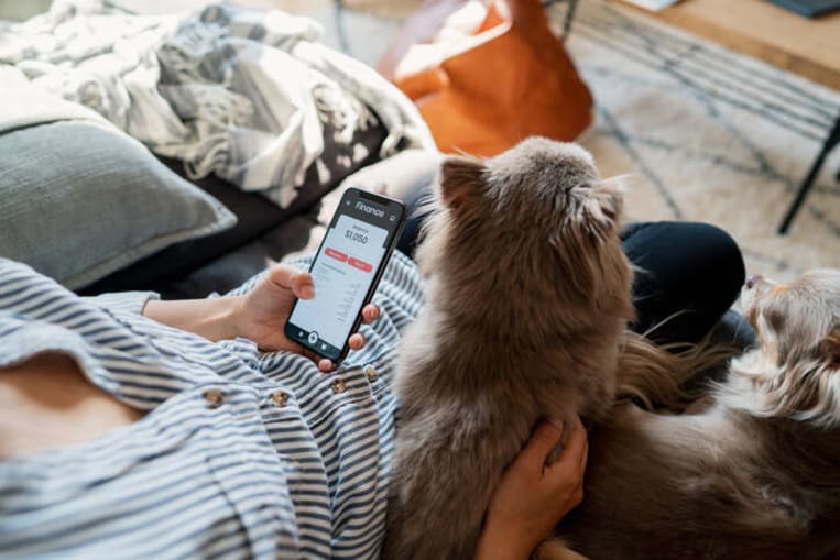 person holding cell phone and petting cat