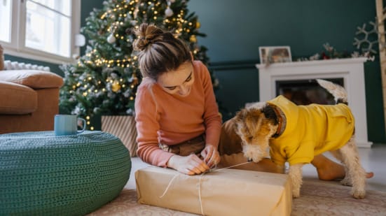 Young woman wraps a present while laying in front of a Christmas tree with her terrier. 
