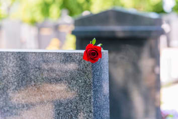 Close View of Headstone In Cemetery With Red Rose Flower