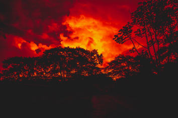 Fire burning trees glowing red