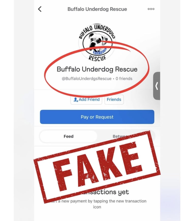 Scam puppu Buffalo