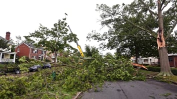 A fallen tree blocks a neighborhood road.