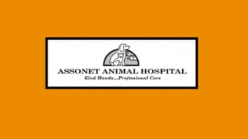 Assonet Animal Hospital business logo