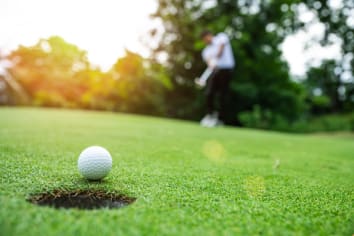 golf green showing hole