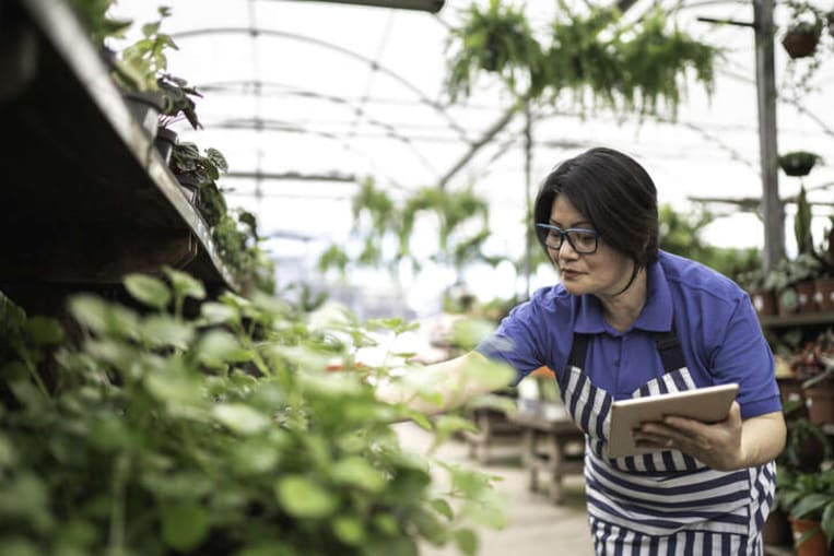 woman shopping for her garden