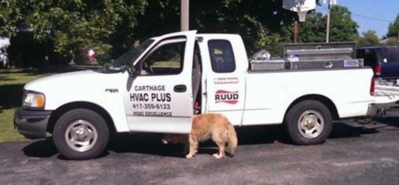 image description not provided by submitter