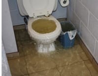 image description not provided by submitter