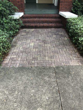 image description not provided by submitter