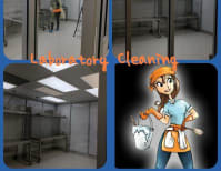 image description not provided by submitter