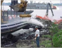 image description not provided by submitter